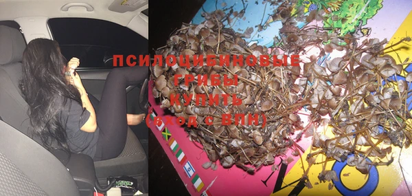 мескалин Вяземский